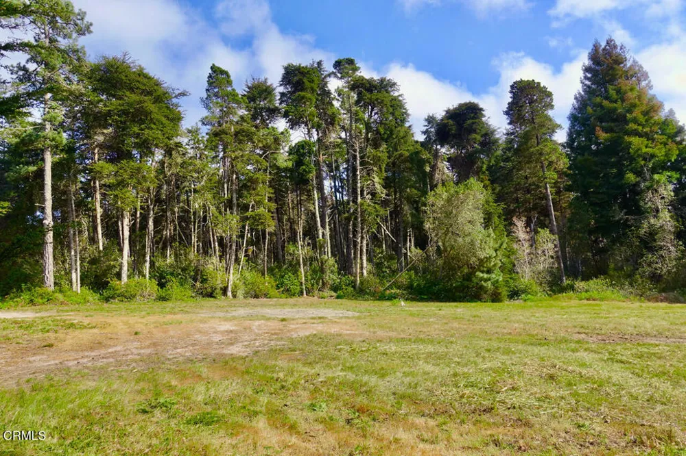 43535 Comptche Ukiah Road Mendocino, CA 95460