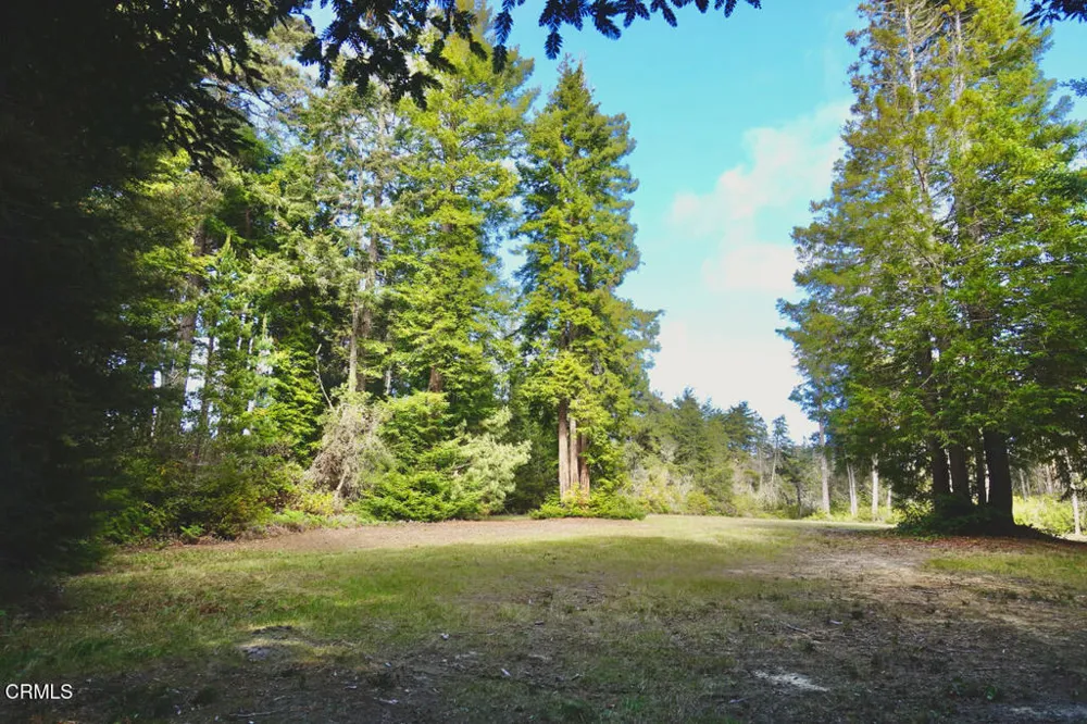 43535 Comptche Ukiah Road Mendocino, CA 95460