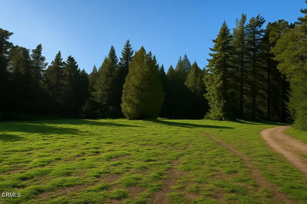 43535 Comptche Ukiah Road Mendocino, CA 95460