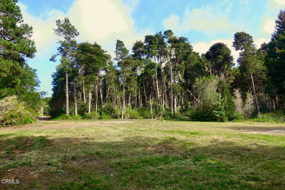 43535 Comptche Ukiah Road Mendocino, CA 95460