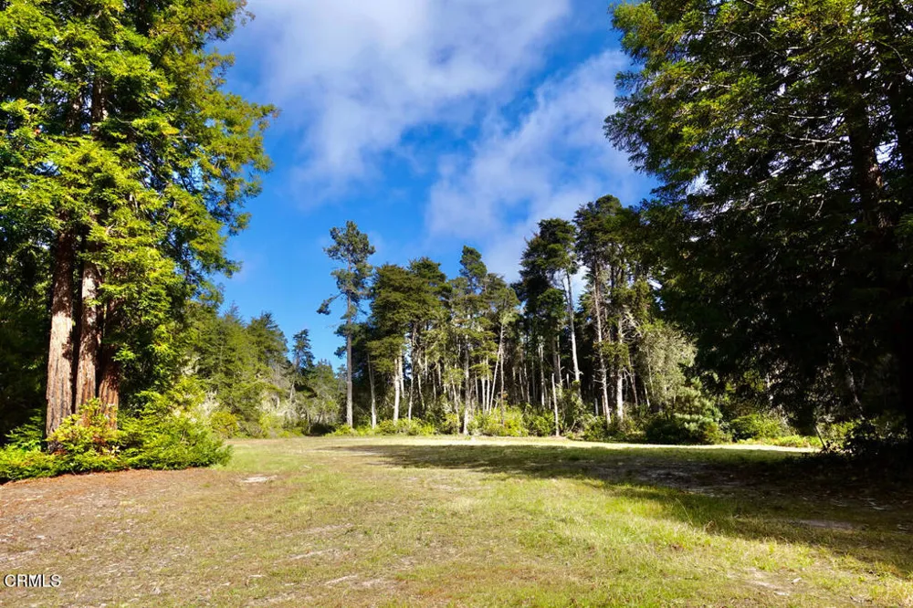 43535 Comptche Ukiah Road Mendocino, CA 95460
