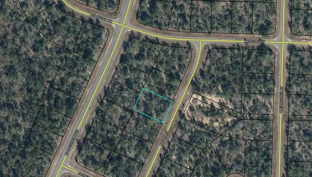 Lot 3 Unit 11 Blk 752 KAPOK AVENUE Chipley, FL 32428