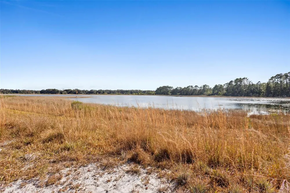 TBD SE 256TH AVENUE Umatilla, FL 32784
