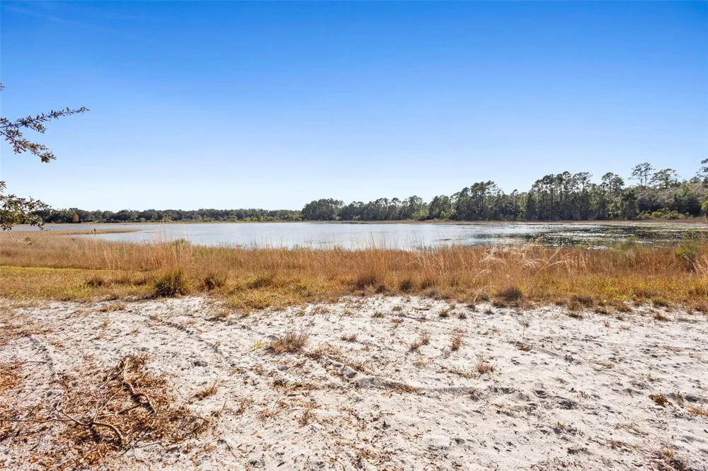 TBD SE 256TH AVENUE Umatilla, FL 32784