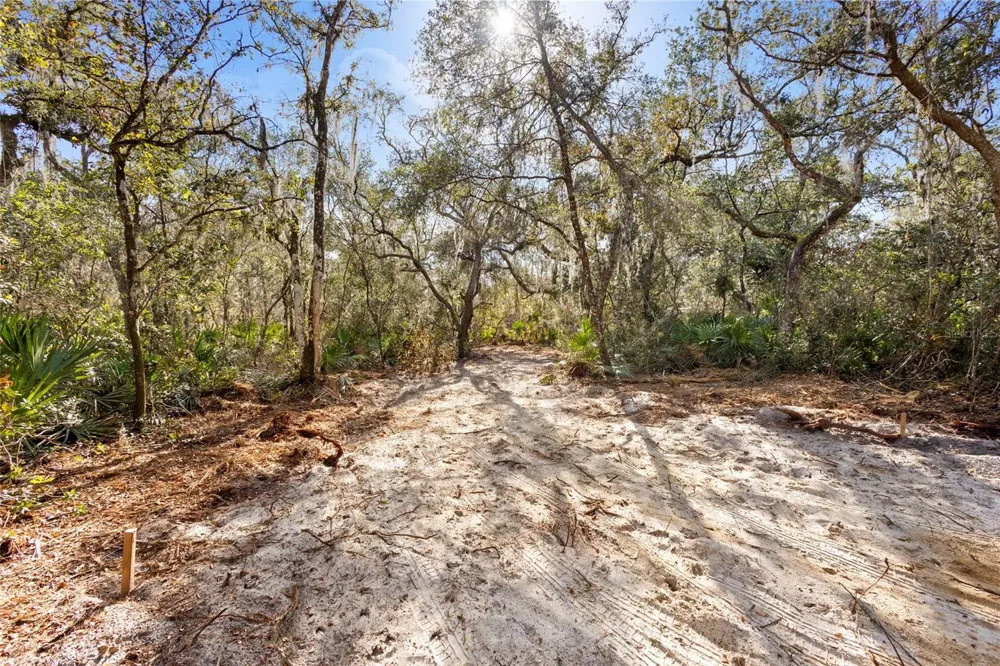 TBD SE 256TH AVENUE Umatilla, FL 32784