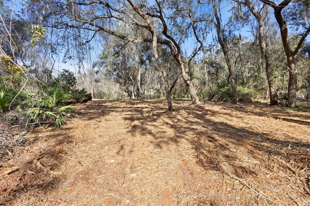 TBD SE 256TH AVENUE Umatilla, FL 32784