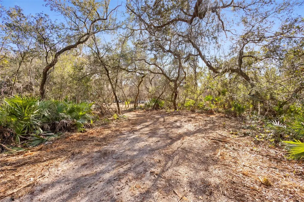 TBD SE 256TH AVENUE Umatilla, FL 32784