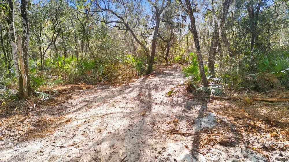 TBD SE 256TH AVENUE Umatilla, FL 32784