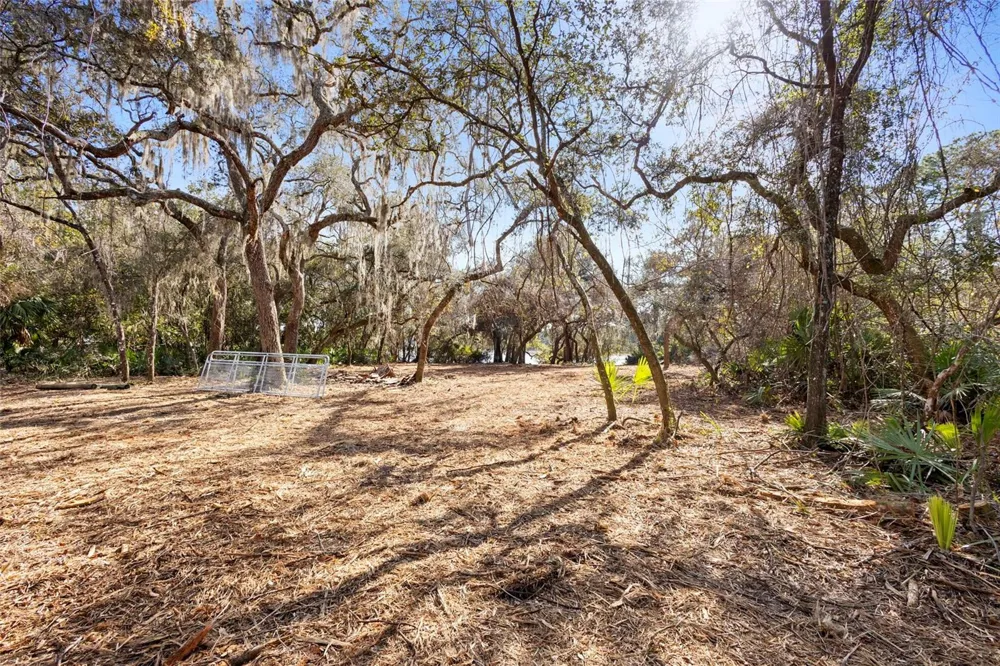 TBD SE 256TH AVENUE Umatilla, FL 32784