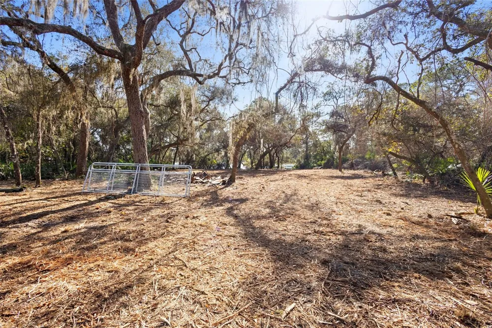 TBD SE 256TH AVENUE Umatilla, FL 32784