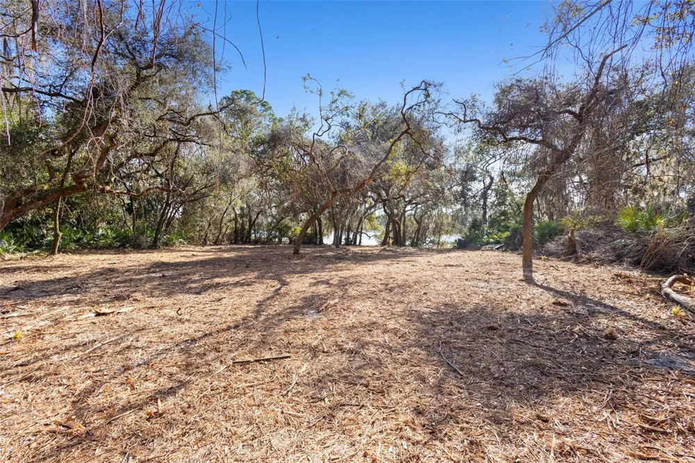 TBD SE 256TH AVENUE Umatilla, FL 32784
