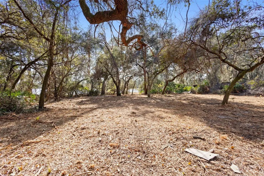TBD SE 256TH AVENUE Umatilla, FL 32784