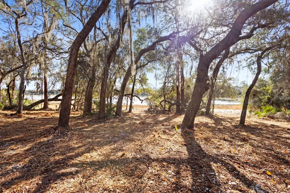TBD SE 256TH AVENUE Umatilla, FL 32784