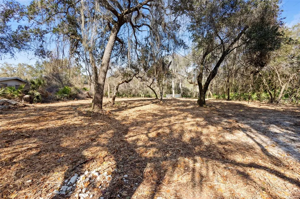 TBD SE 256TH AVENUE Umatilla, FL 32784