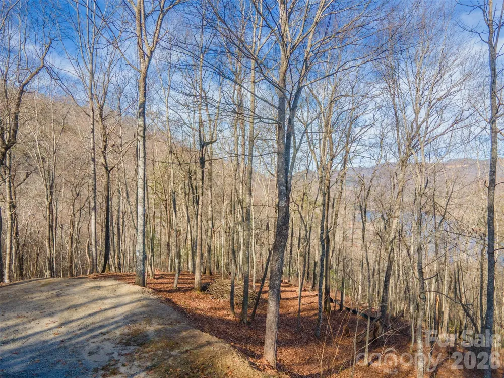 762 Scarlet Oak Road Tuckasegee, NC 28783