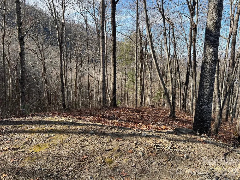 762 Scarlet Oak Road Tuckasegee, NC 28783