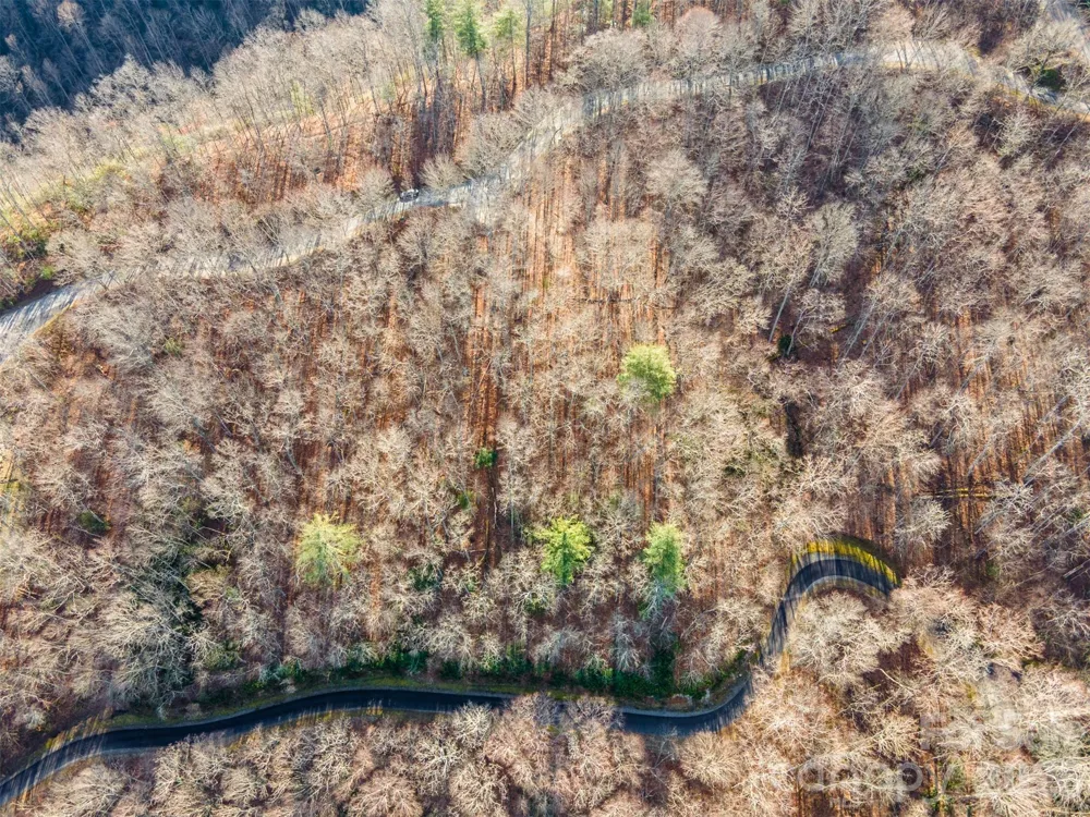 762 Scarlet Oak Road Tuckasegee, NC 28783