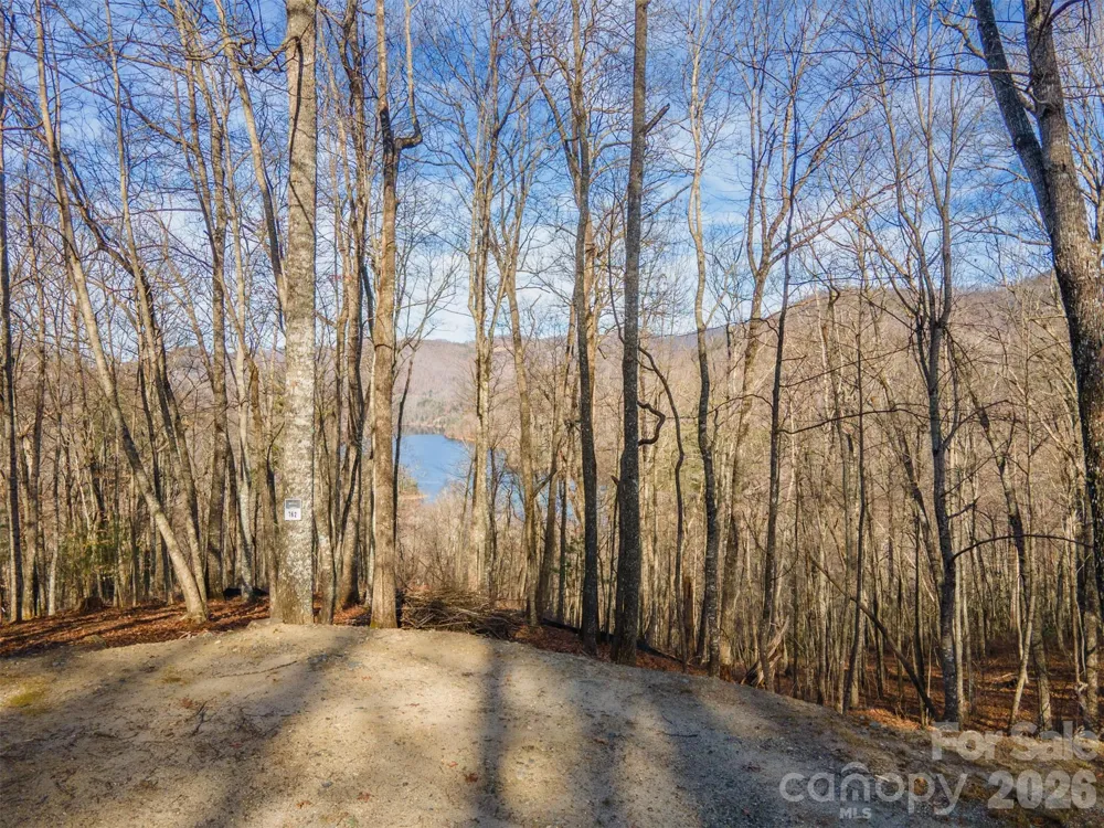 762 Scarlet Oak Road Tuckasegee, NC 28783