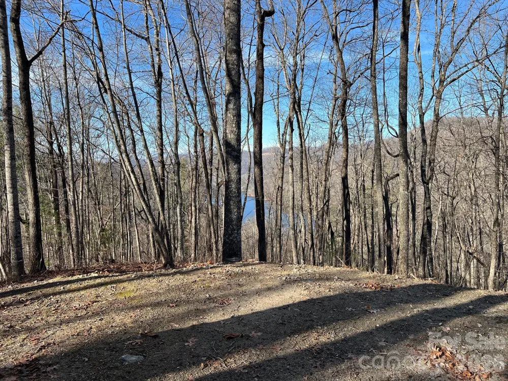 762 Scarlet Oak Road Tuckasegee, NC 28783