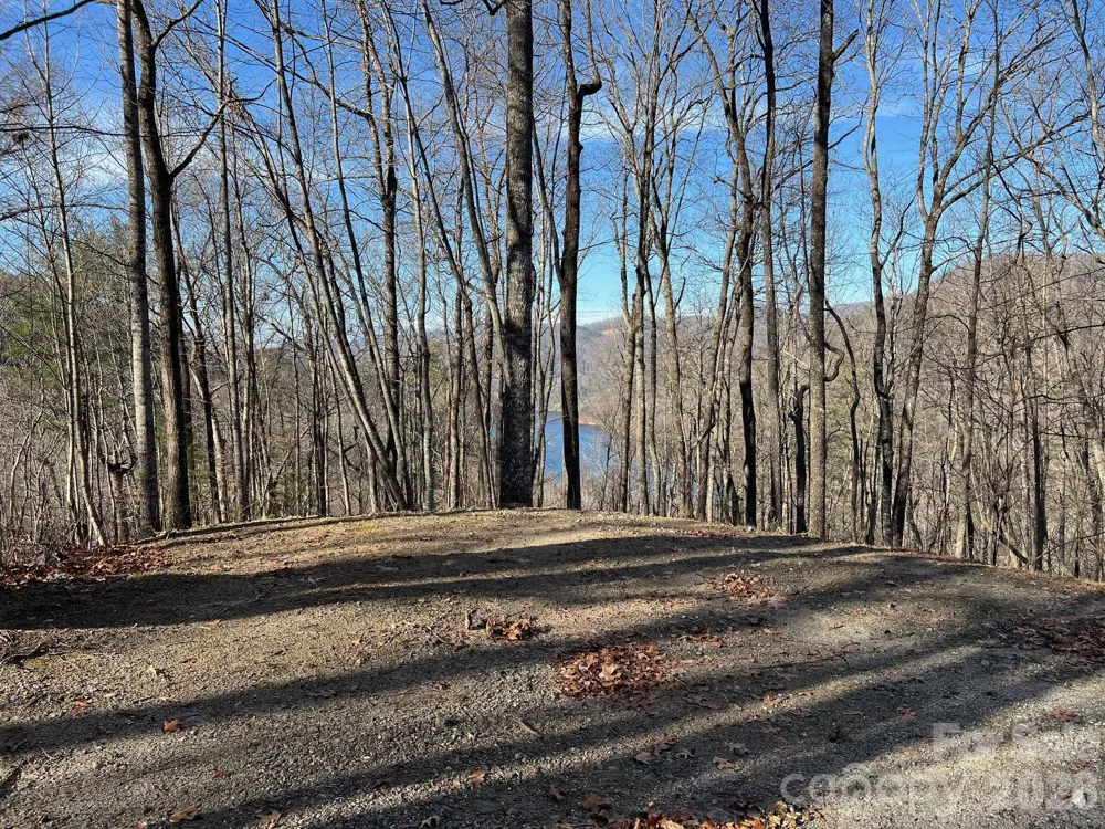 762 Scarlet Oak Road Tuckasegee, NC 28783