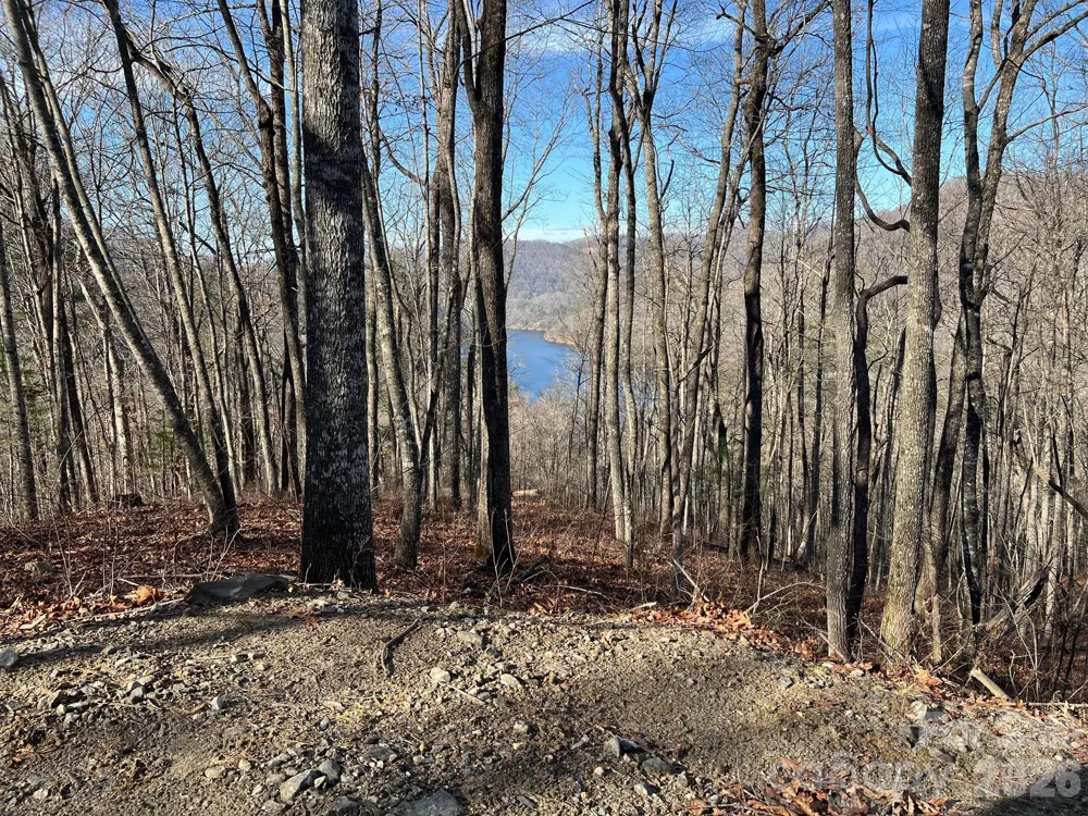 762 Scarlet Oak Road Tuckasegee, NC 28783