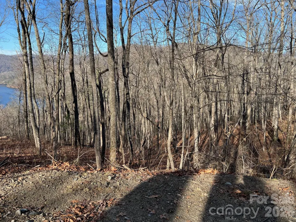762 Scarlet Oak Road Tuckasegee, NC 28783