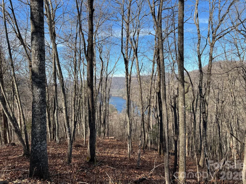 762 Scarlet Oak Road Tuckasegee, NC 28783