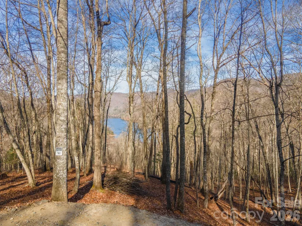 762 Scarlet Oak Road Tuckasegee, NC 28783