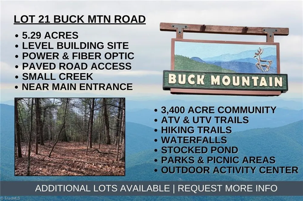 Lot 21 Buck Mountain Road Purlear, NC 28665