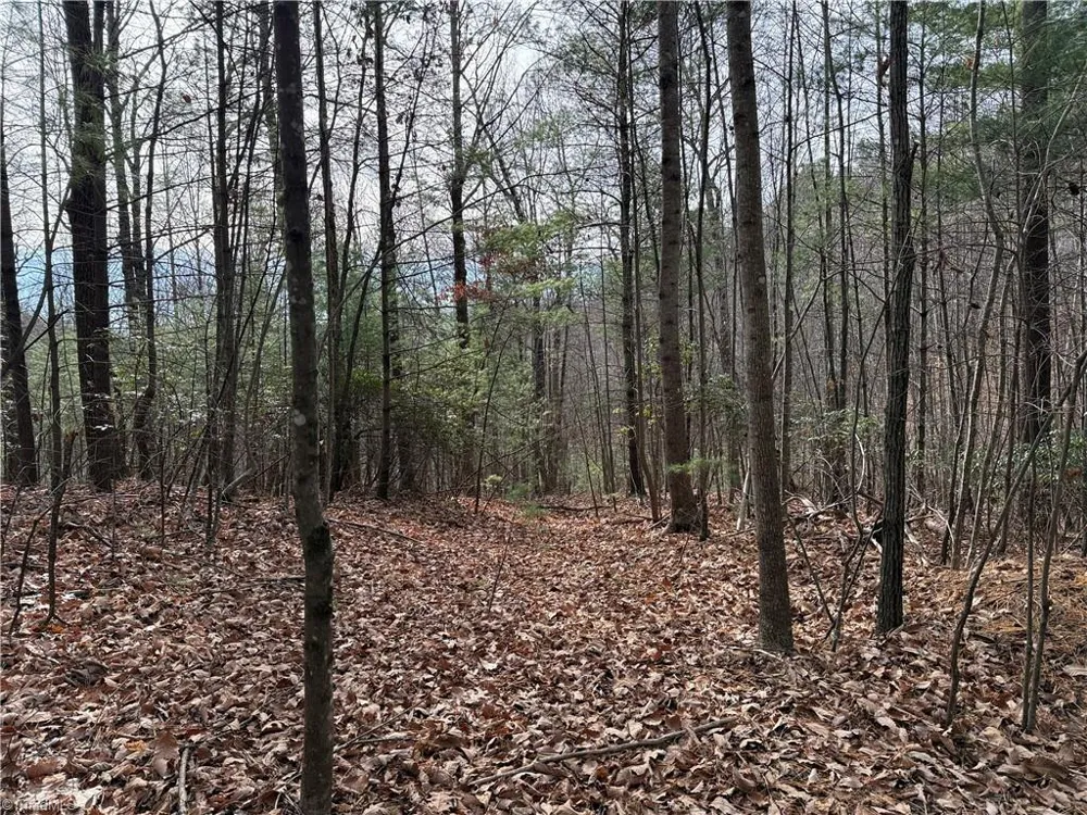 Lot 21 Buck Mountain Road Purlear, NC 28665