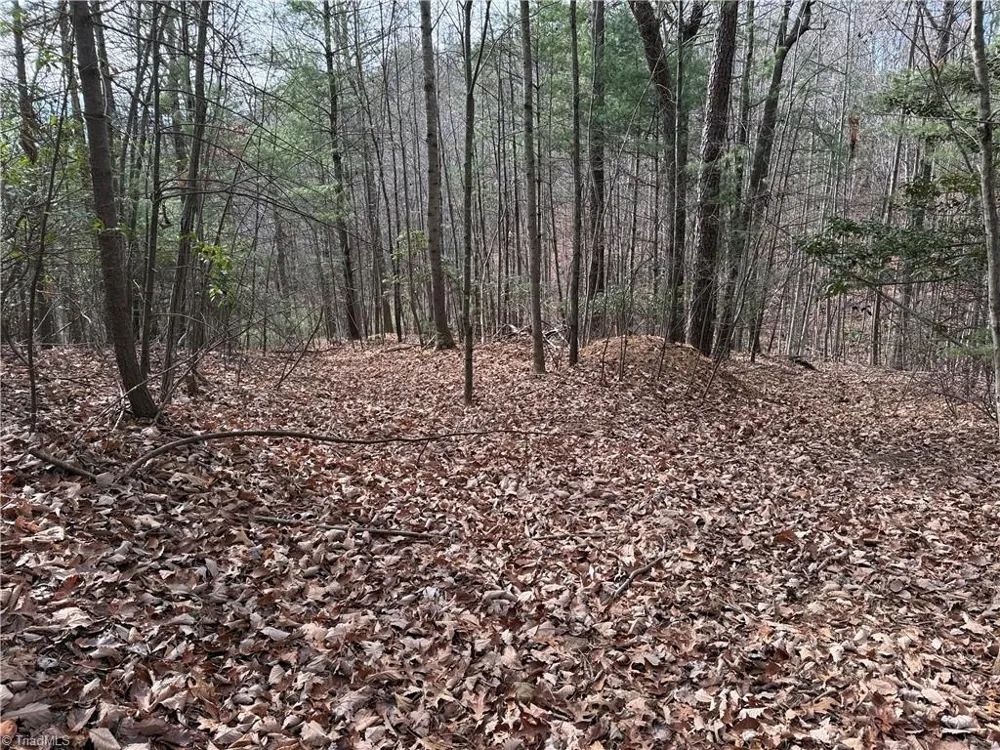Lot 21 Buck Mountain Road Purlear, NC 28665