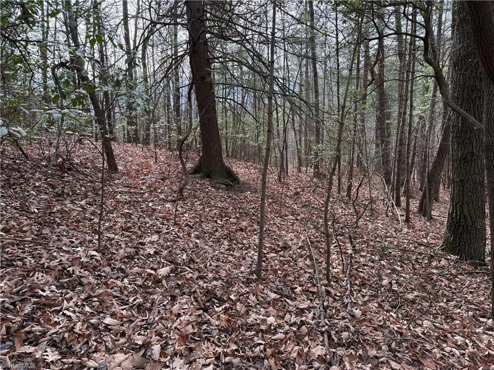 Lot 21 Buck Mountain Road Purlear, NC 28665