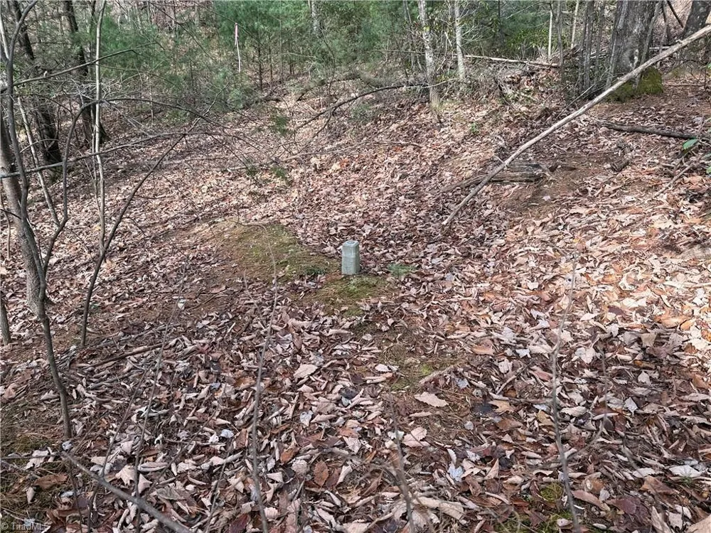 Lot 21 Buck Mountain Road Purlear, NC 28665