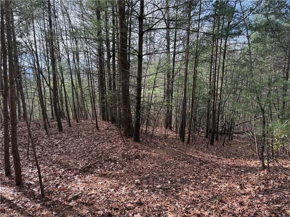Lot 21 Buck Mountain Road Purlear, NC 28665