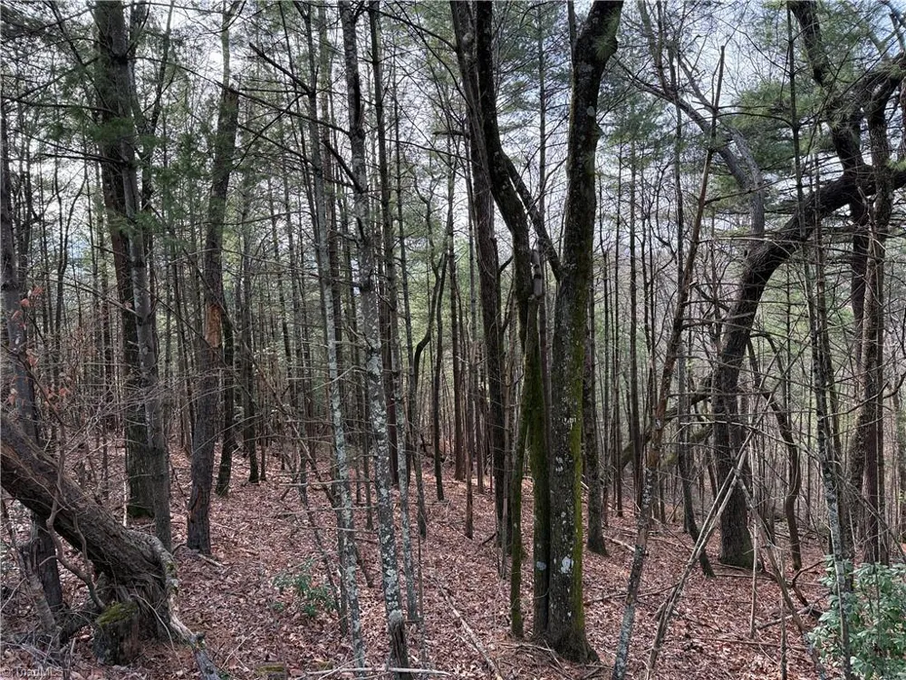 Lot 21 Buck Mountain Road Purlear, NC 28665