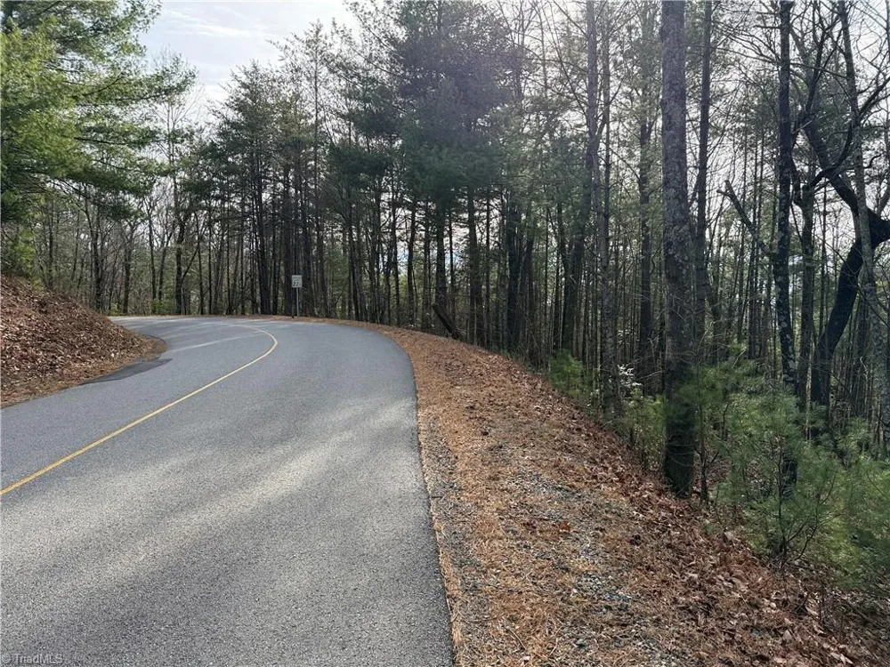 Lot 21 Buck Mountain Road Purlear, NC 28665