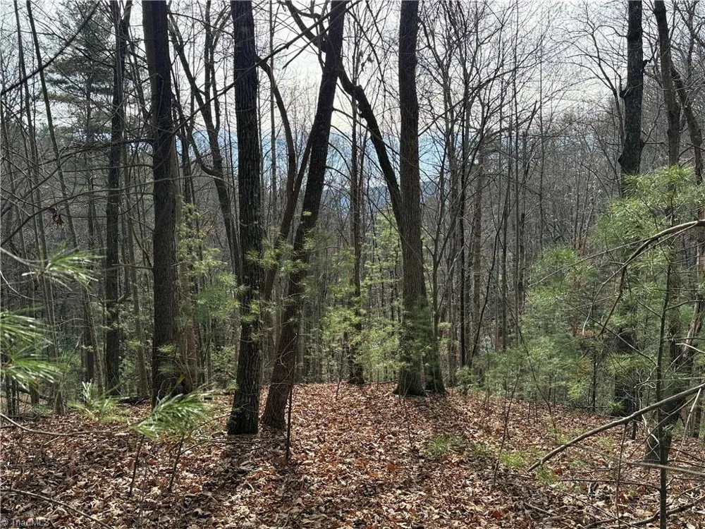 Lot 21 Buck Mountain Road Purlear, NC 28665