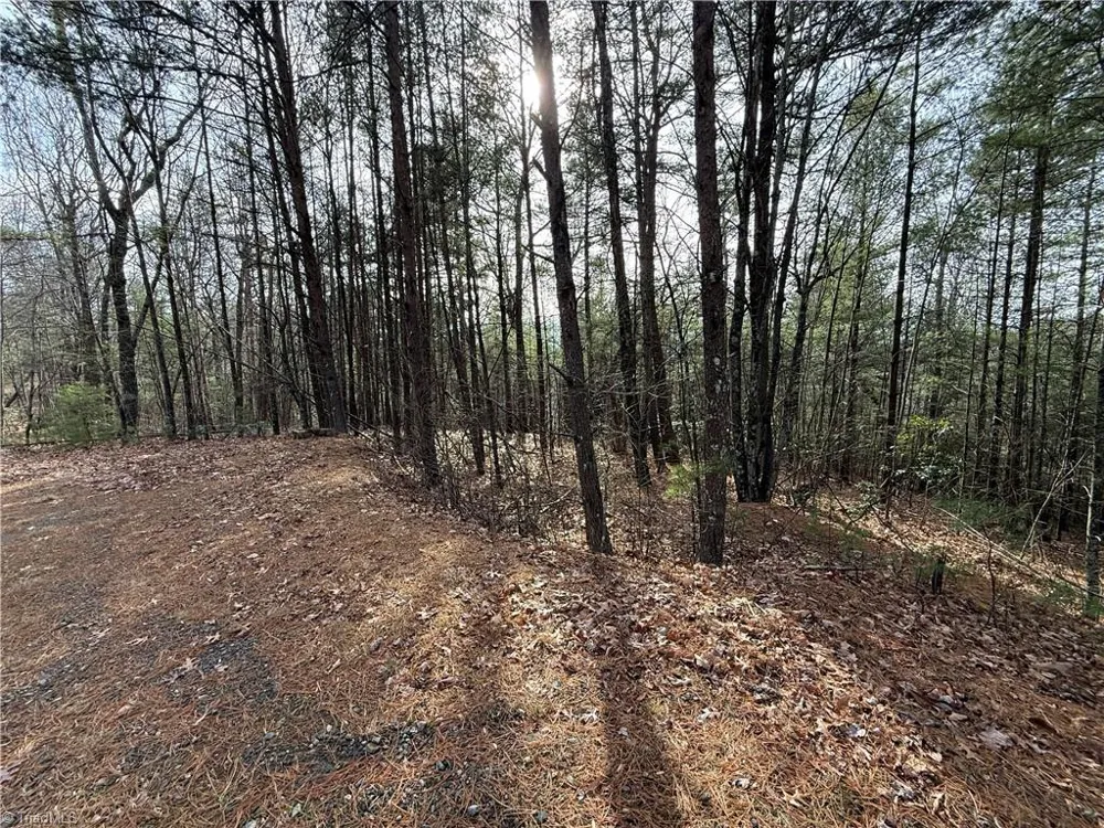 Lot 21 Buck Mountain Road Purlear, NC 28665