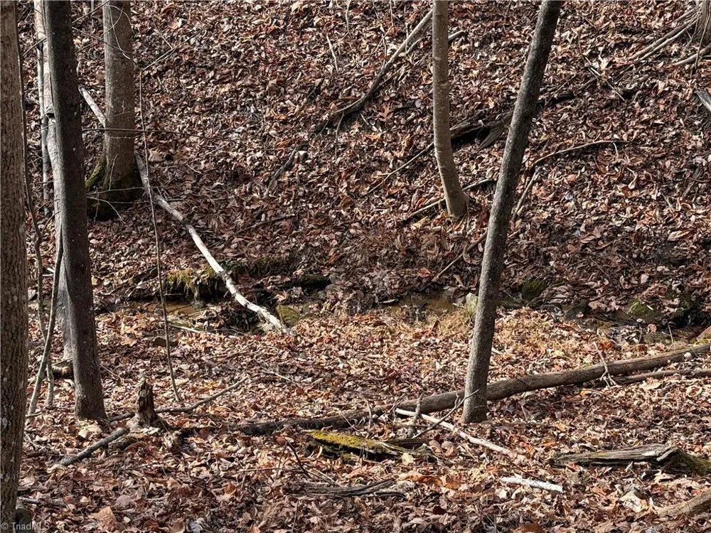 Lot 21 Buck Mountain Road Purlear, NC 28665