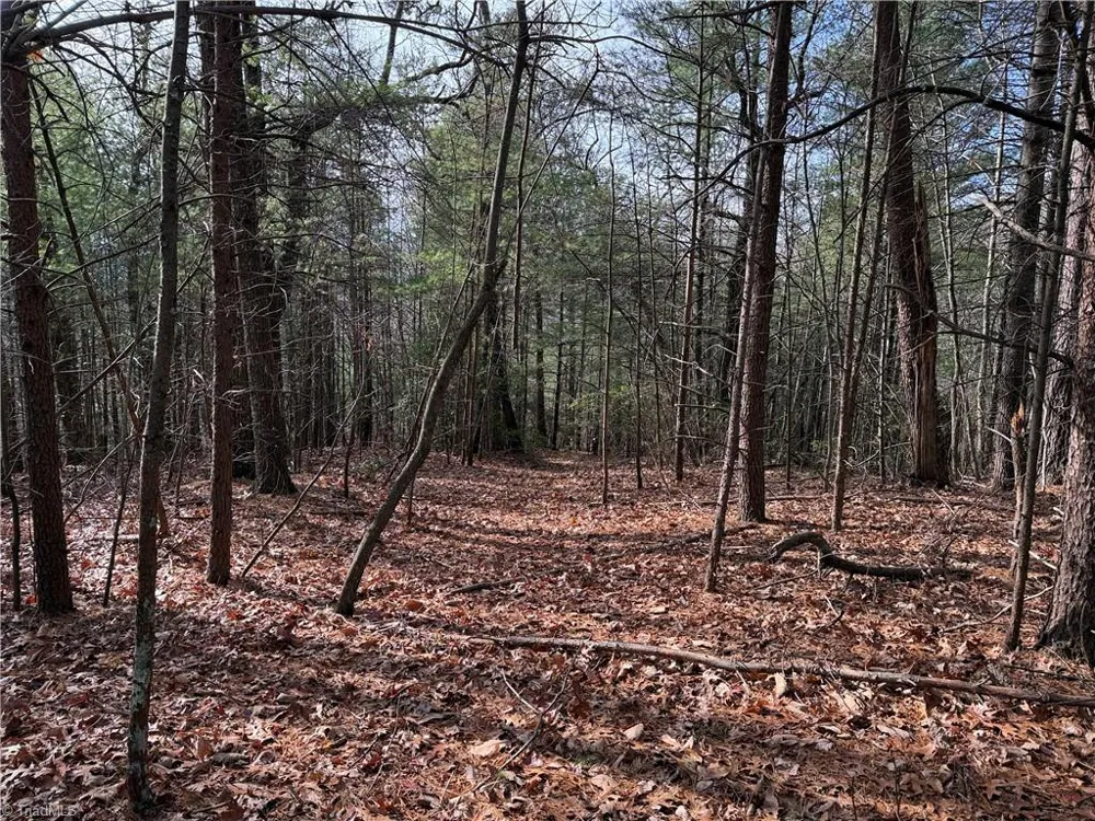 Lot 21 Buck Mountain Road Purlear, NC 28665