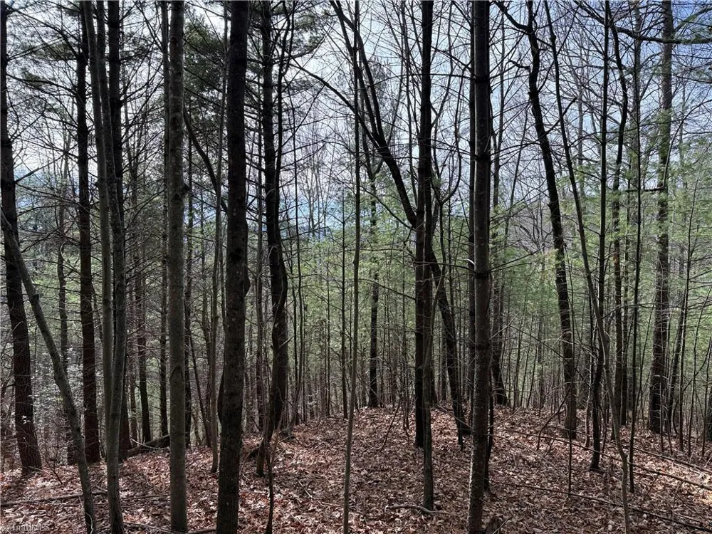 Lot 21 Buck Mountain Road Purlear, NC 28665