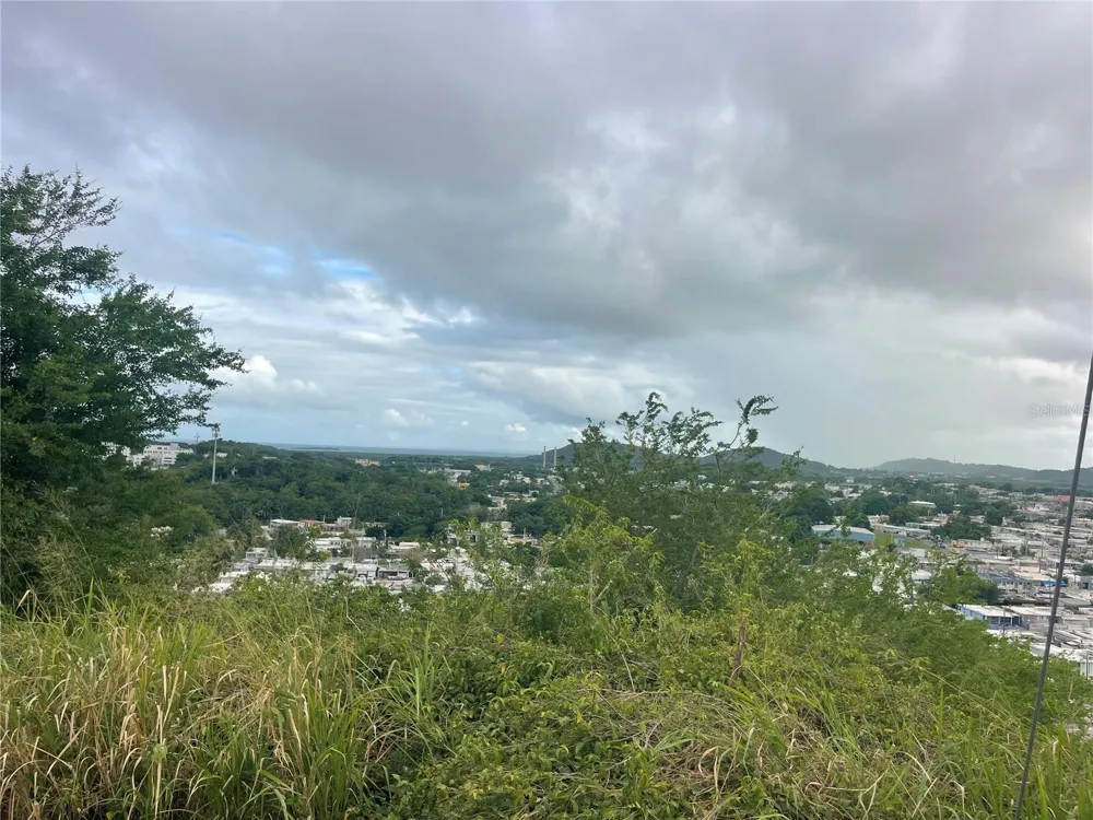 Cond.180 Carretera 194 PR 180- CARR. ESTATAL NO. 194 ESTATES #Q-206 Fajardo, PR 00738