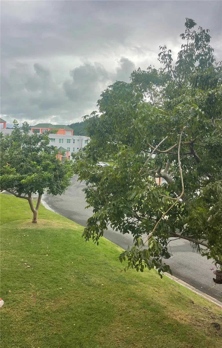 Cond.180 Carretera 194 PR 180- CARR. ESTATAL NO. 194 ESTATES #Q-206 Fajardo, PR 00738