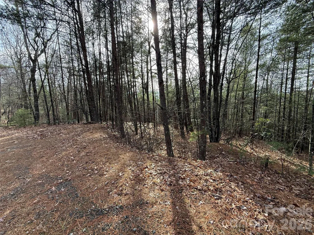 TBD Buck Mountain Road #21 Purlear, NC 28665