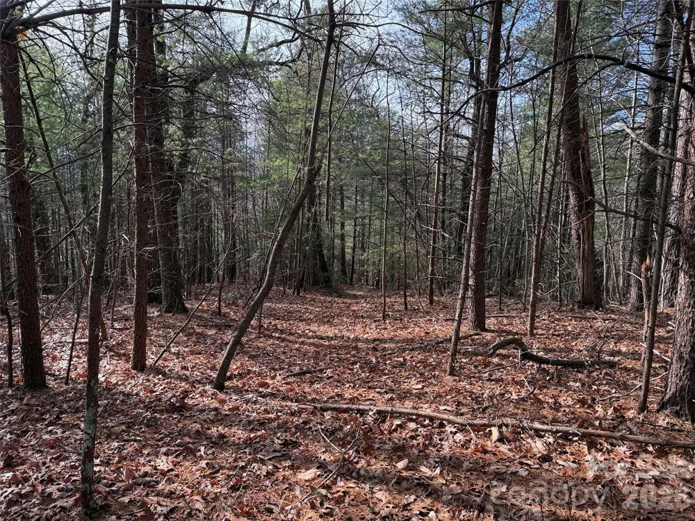 TBD Buck Mountain Road #21 Purlear, NC 28665