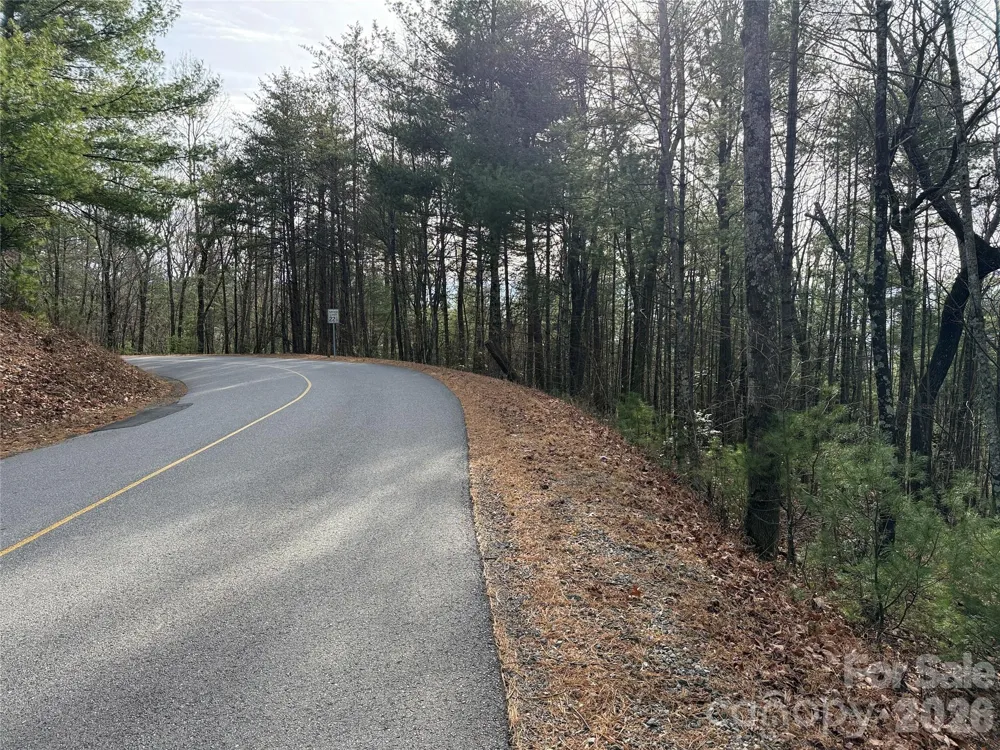 TBD Buck Mountain Road #21 Purlear, NC 28665