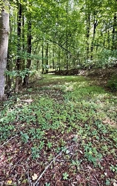 0 Gravitte Road Roxboro, NC 27573