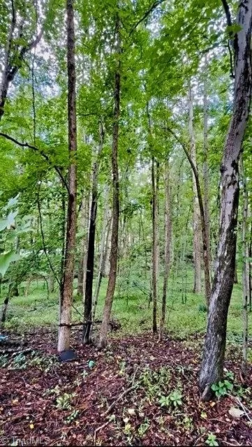 0 Gravitte Road Roxboro, NC 27573