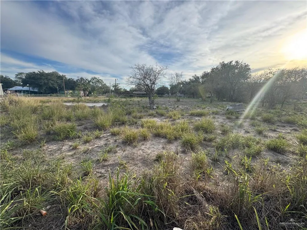 LT 1 S Gardner Street Falfurrias, TX 78355