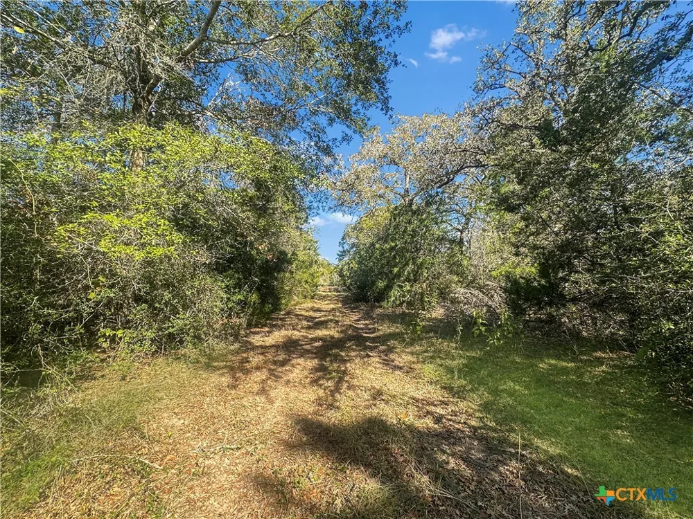 2845 Boehnke Road Flatonia, TX 78949